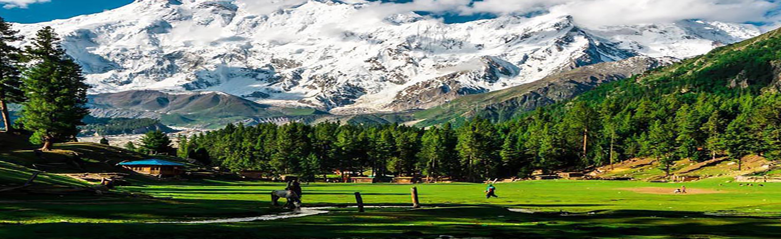 Trek to Fairy Meadows and the Base of Nanga Parbat – 8126M